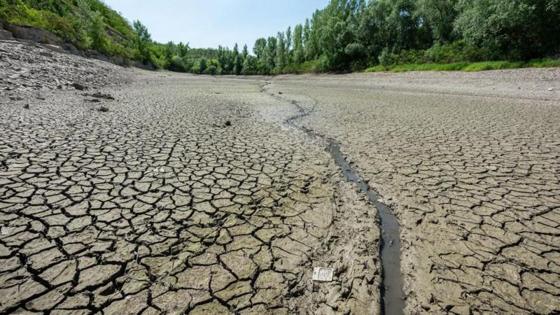 На Дністрі оголошено коричневий рівень небезпеки через обміління